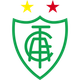 米内罗美洲 Logo